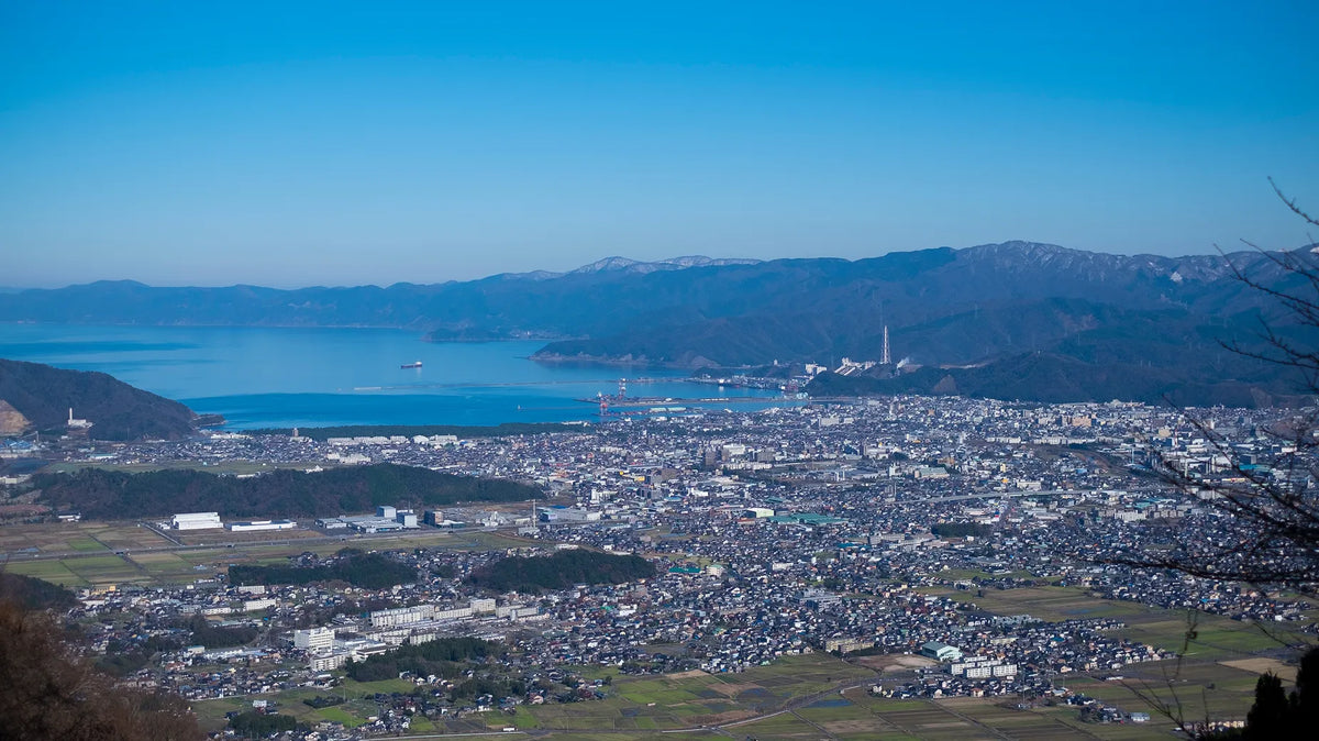 途中参加プラン